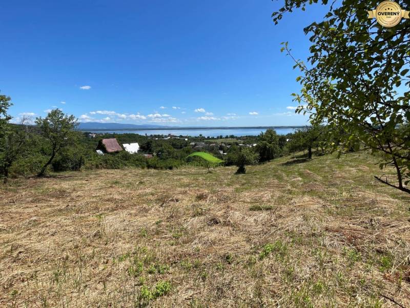 909842_86582eb6cc09eb4a51a3ebe237dd6430 (1).jpeg