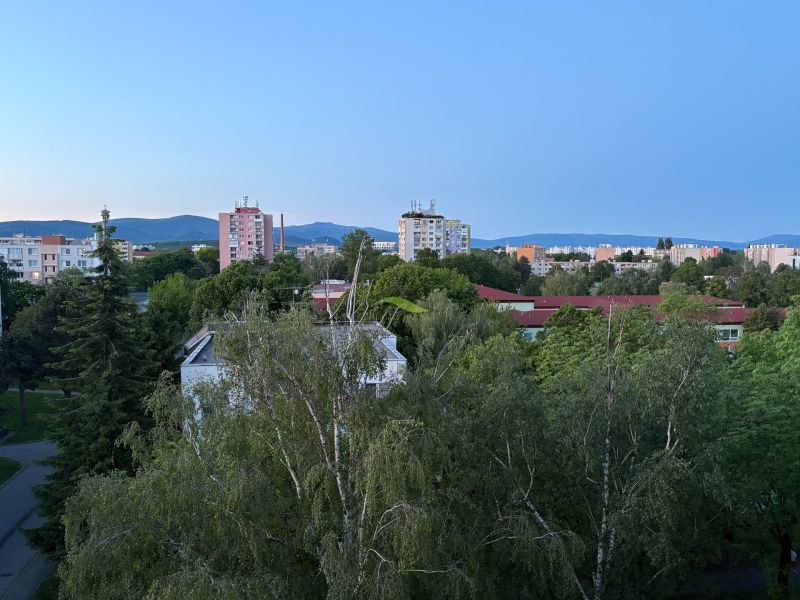 IMG_0353.jpeg