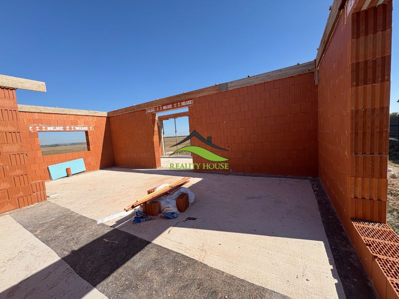 IMG_2975.jpeg