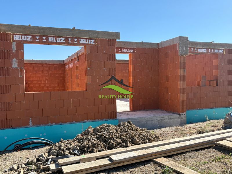 IMG_2991.jpeg
